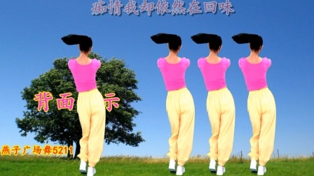 DJ沈念版广场舞《灌不醉的寂寞》深夜想你无法入睡
