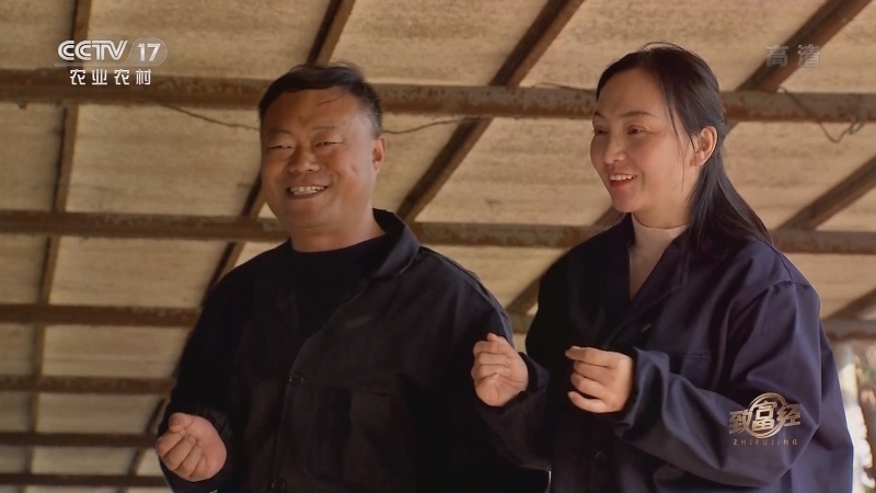 致富经 《致富经》 20201204 牛人牛招发牛财