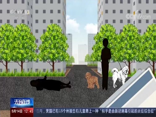 法治在线 《法治在线》 20200514