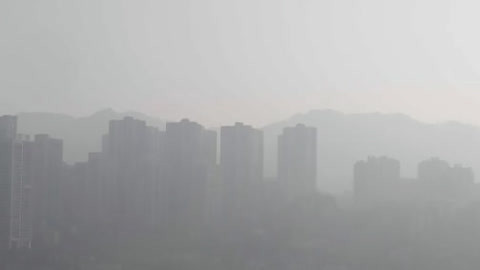 首都晚间报道20210129