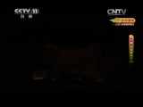 CCTV空中剧院 《CCTV空中剧院》 20150523 京剧《狸猫换太子》（上） 2/2