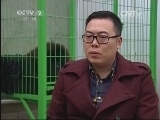 生财有道 《生财有道》 20131209 小桑的驴系藏獒