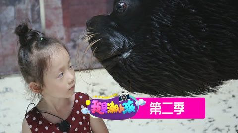 我是潮小孩 我是潮小孩 第2季 20160827