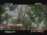 地理中国 《寻奇天下》 绿色精灵 高清版