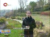 重庆新闻联播 《重庆新闻联播》 20170206