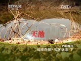 地理中国 《地理中国》 20150111 闽域奇观·冠豸谜墙（下）