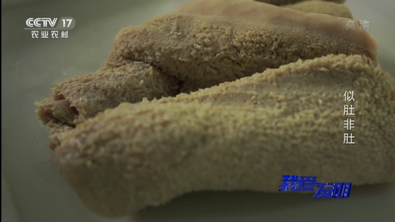 《我爱发明》 20210204 似肚非肚