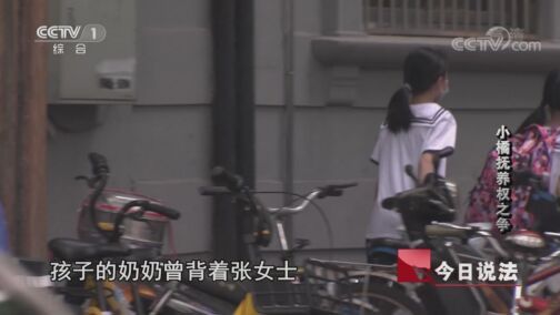 今日说法 《今日说法》 20200811 小橘抚养权之争