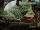 人与自然 人物亲历 嘉姆的回归之路（上）