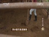 致富经 《致富经》 20150827 浑水里巧发泥鳅财