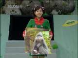 绿野寻踪 绿野寻踪 2010年 第5期