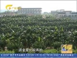 广西新闻 《广西新闻》 20161231
