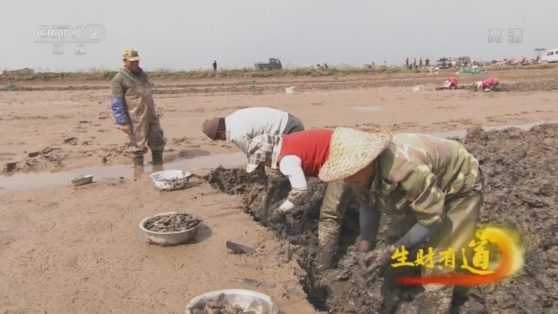 生财有道 《生财有道》 20220404 咱们家乡春天美——耕耘山海间 春天财富来
