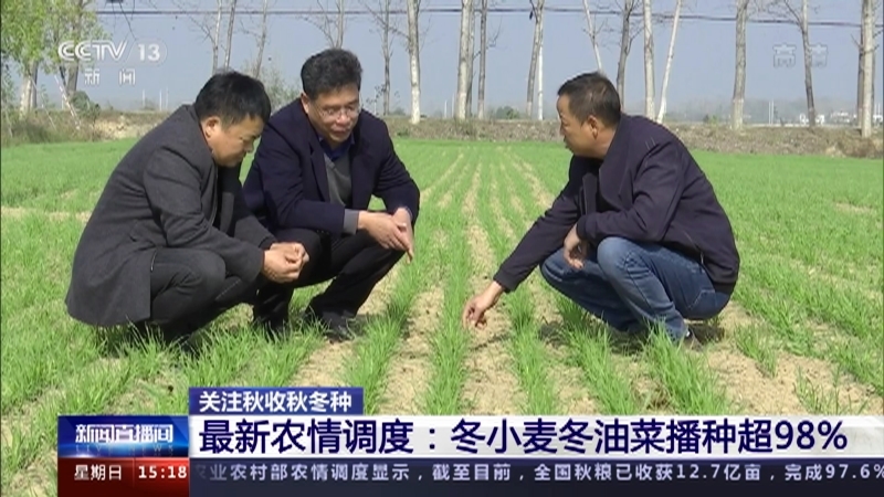 新闻直播间 《新闻直播间》 20221120 15:00