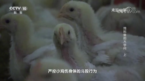 走近科学 《走近科学》 20190416 饲料里的大学问 上
