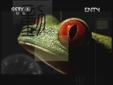 动物世界 《动物世界》 20120530
