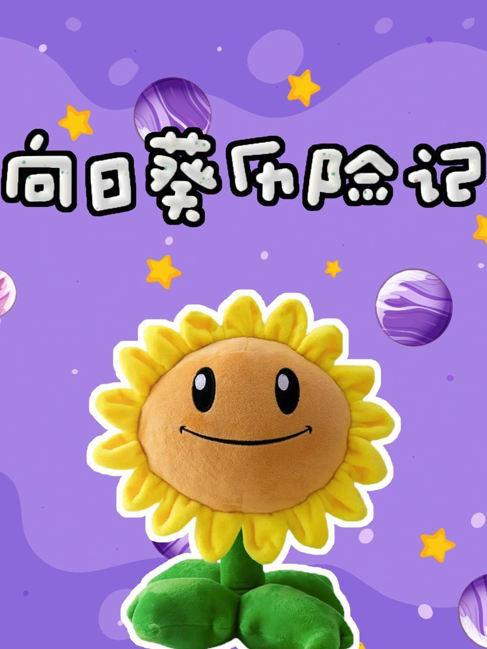 向日葵历险记 海报