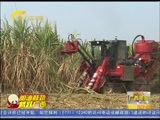广西新闻 《广西新闻》 20151220