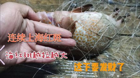 南澳岛赶海日记 彪哥这次收网连上几条值钱的海红斑
