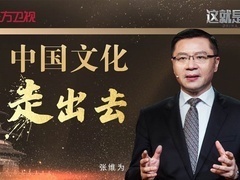 这就是中国 中国文化走出去
