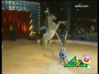 国际艺苑 欢乐秀场 动物狂欢节 2008-09-29
