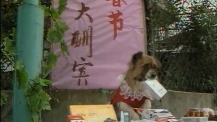 央视1987春晚 动物小品《家庭宴会》(录像) ，搞笑萌宠在线炫技