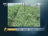 消费主张 《消费主张》 20170614 来自夏收一线的报告：余干辣椒坐上“过山车”