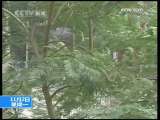 共同关注 共同关注 2009-11-02
