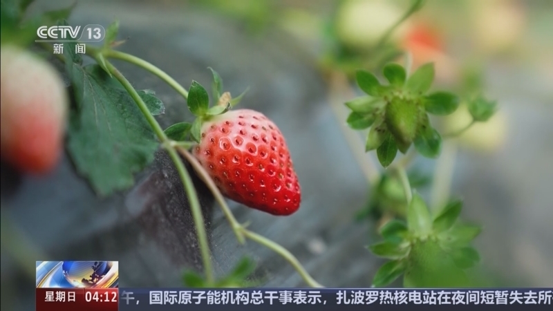 新闻直播间 《新闻直播间》 20251214 04:00