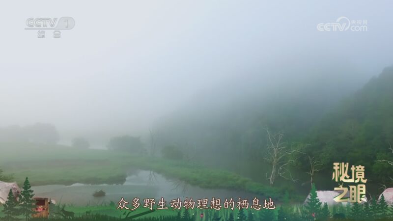 秘境之眼 《秘境之眼》 小麂 20250302