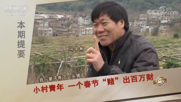 致富经 [致富经]小村青年 一个春节“赌”出百万财 20190405