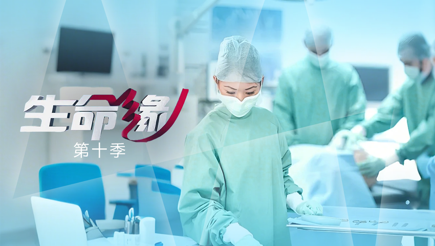 生命缘第十季 第2集