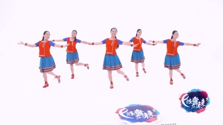 溜溜的山寨溜溜醉-春英（舞蹈展示）