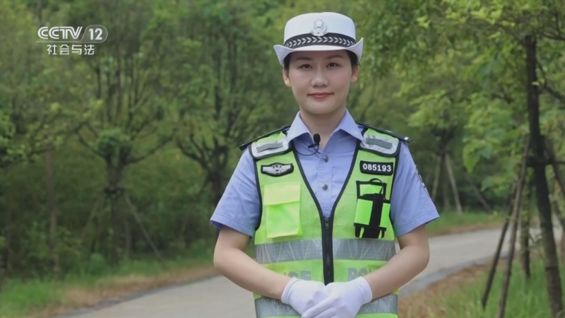 生命线 《生命线》 20241104