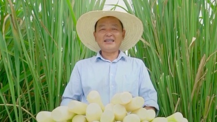 与梦想合拍 独山茭白 情有独钟