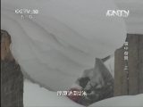 地理中国 《地理中国》 20130628 雪中奇景（上）