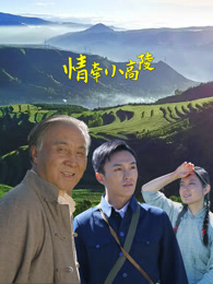 情牵小高陵