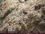 全省新闻联播 《全省新闻联播》 20160610
