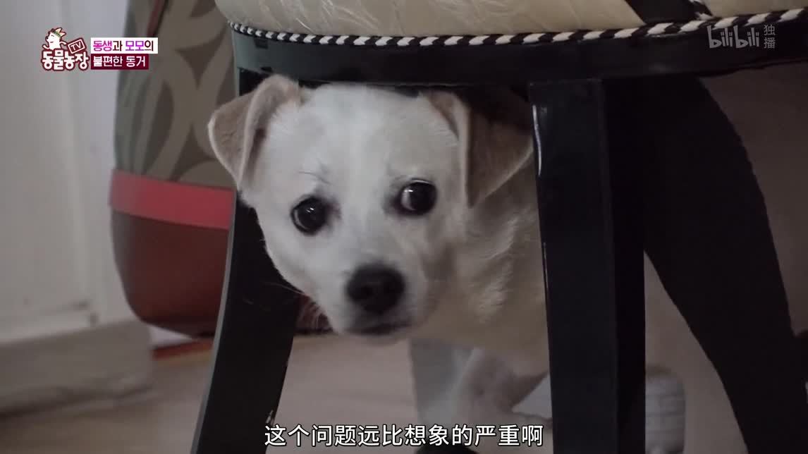 离奇的友情