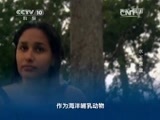 地理中国 《地理中国》水下惊魂 20150119