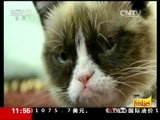 新闻直播间 《新闻直播间》 20151212 11:00