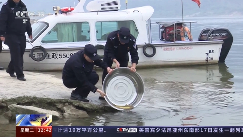 法治在线 《法治在线》 20230718