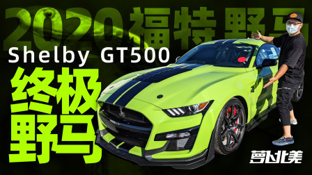 萝卜报告 2020 200万买这台野马，够吗？