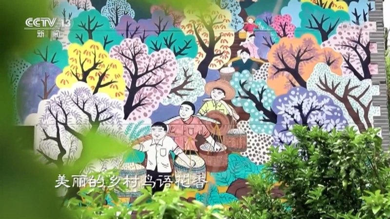 《走进乡村看小康》 20210711