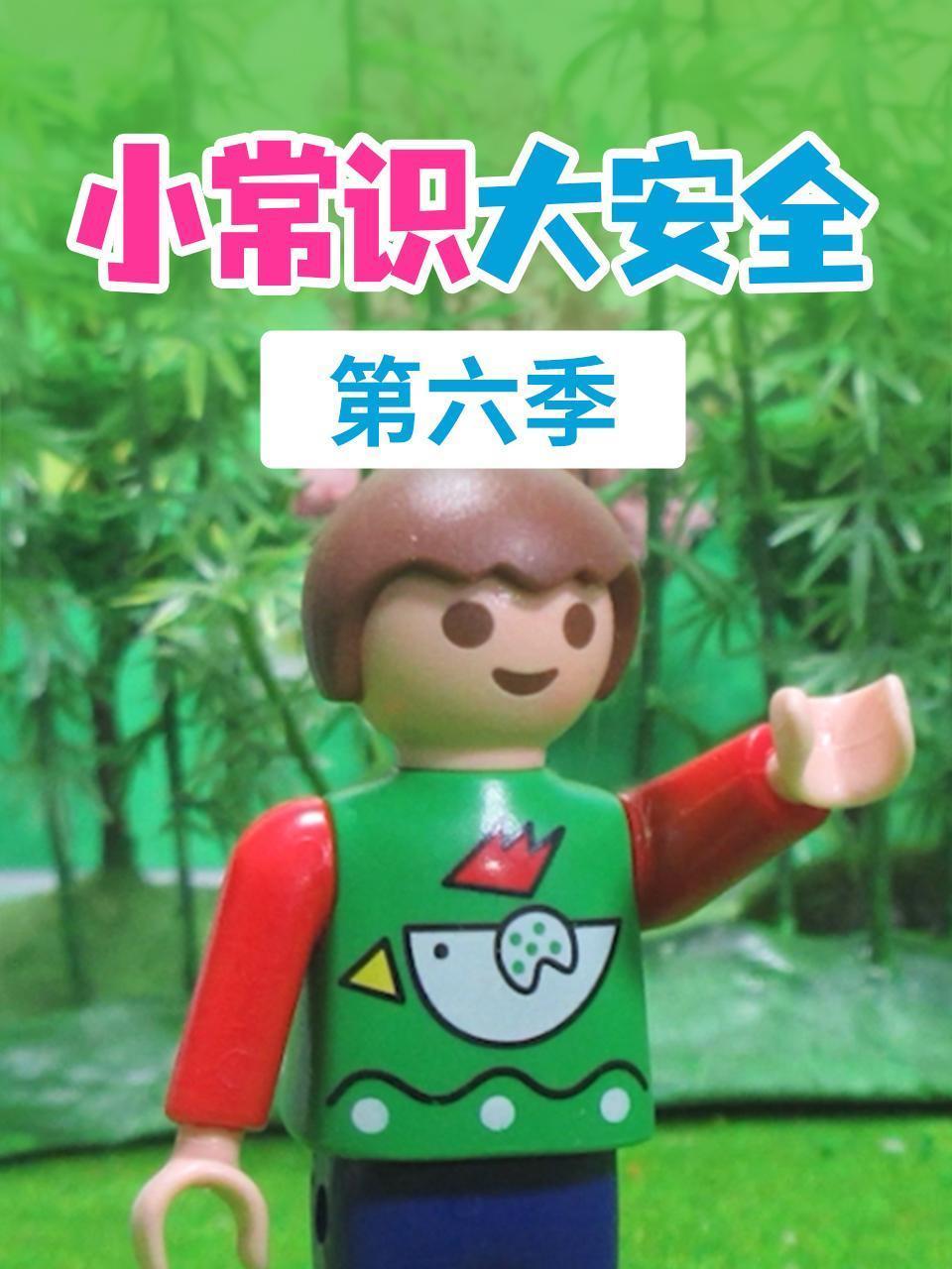 小常识大安全 第六季