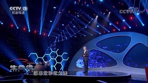 生命线 《生命线》 20191123