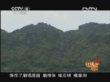 远方的家 北纬30°·中国行 第八十七集 秘境黔江《远方的家》20121025