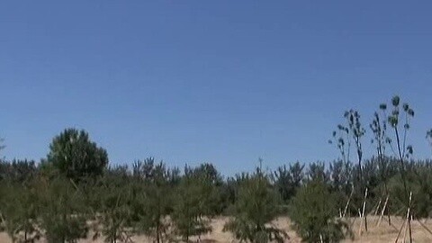 耳目一新 耳目一新20150614