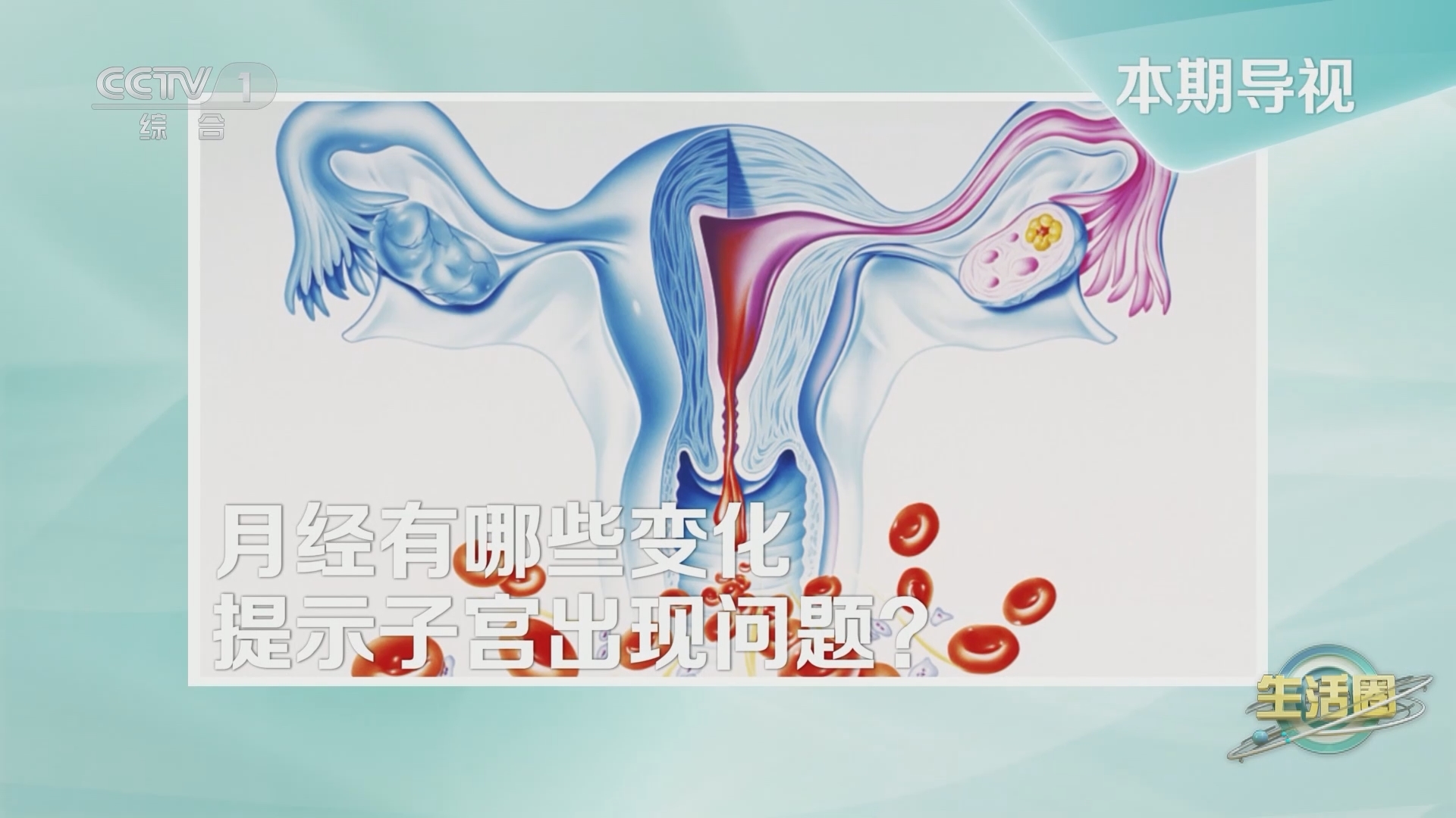 生活圈 《生活圈》 20240309