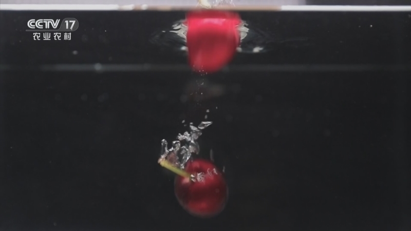 《谁知盘中餐》 20260401 春食纪 春季一抹甜